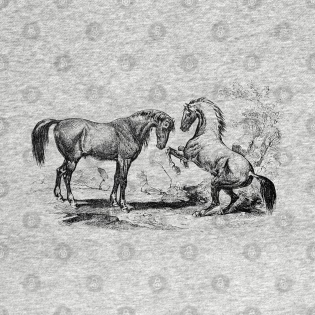 Pair of Horses Vintage Black and White Illustration by Biophilia